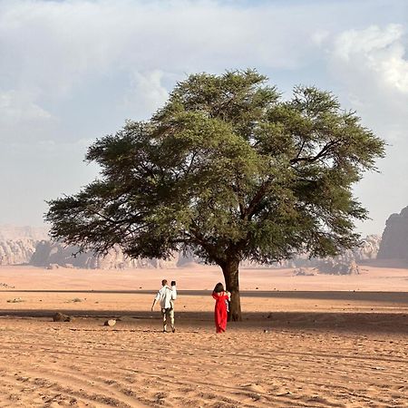 Sunset Dreams Camp Lägenhet Wadi Rum Exteriör bild