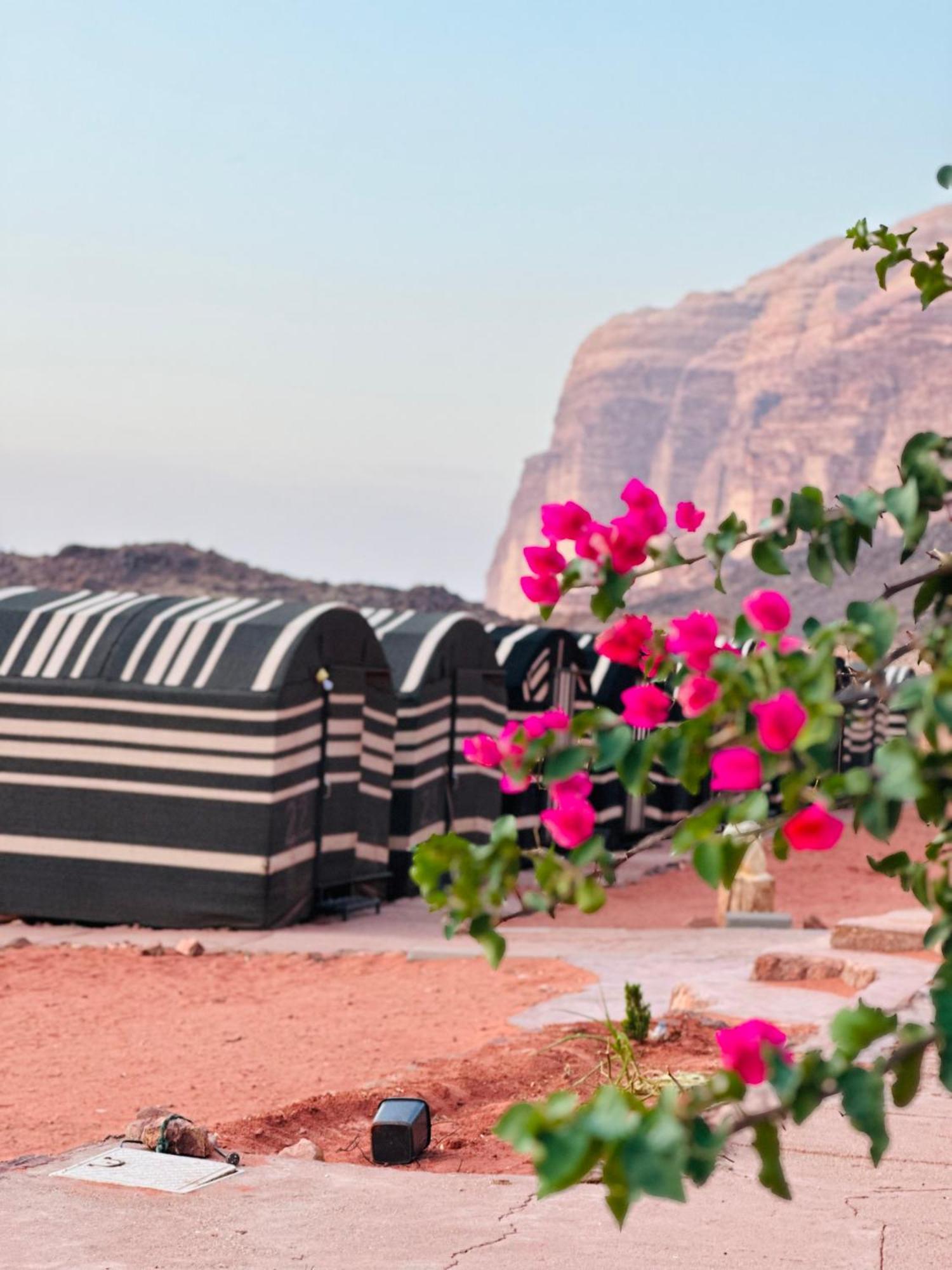 Sunset Dreams Camp Lägenhet Wadi Rum Exteriör bild
